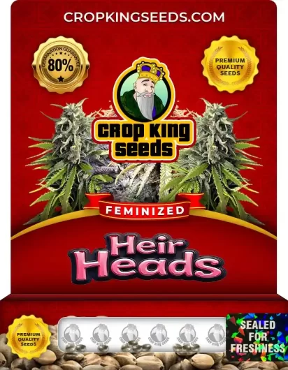 Heir Heads Strain