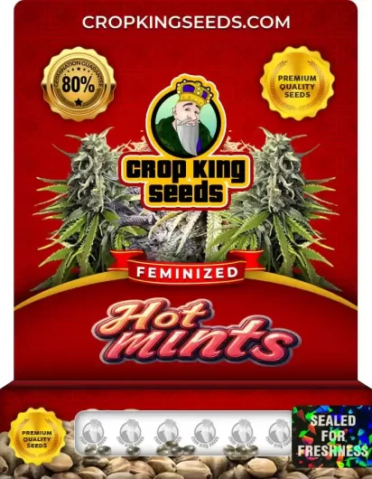 Hot Mints Strain