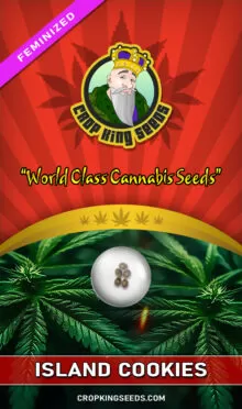 Island Cookies Feminized