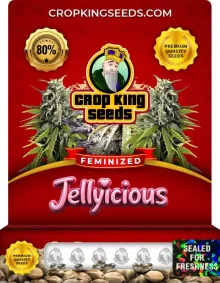 Jellylicious Strain