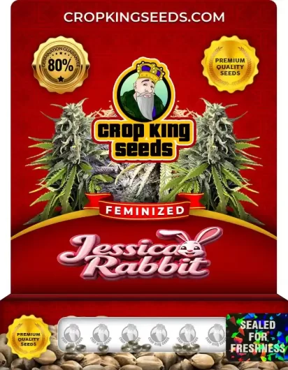 Jessica Rabbit Strain