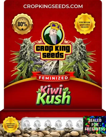 Kiwi Kush Strain