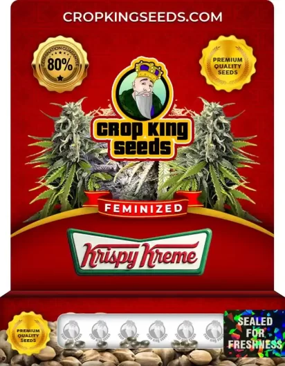 Krispy Kreme Strain