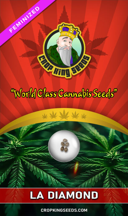 La Diamond Feminized