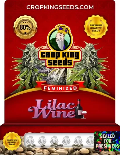 Lilac Wine Strain