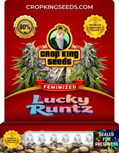 Lucky Runtz Strain