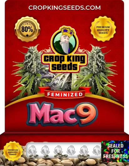 Mac 9 Strain