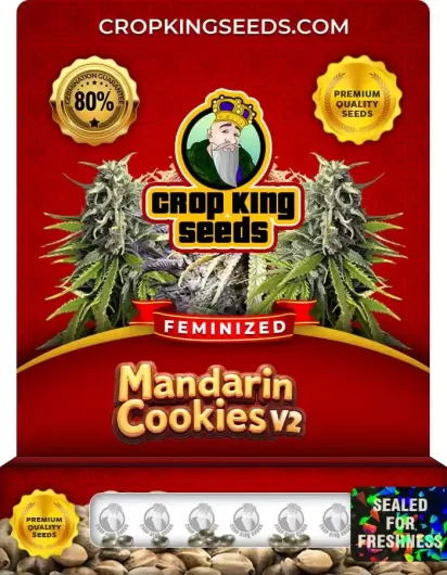 Mandarin Cookies V2 Strain