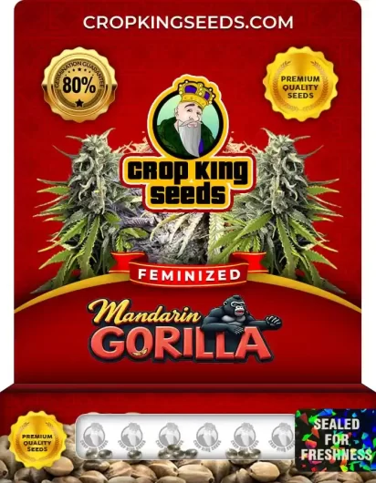 Mandarin Gorilla Strain