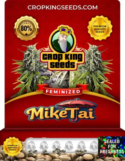 Mike Tai Strain