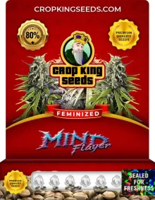 Mind Flayer Feminized Seeds