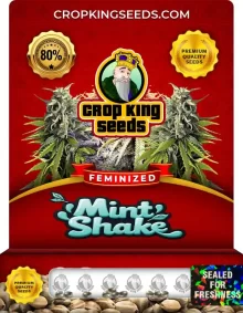 Mint Shake Strain