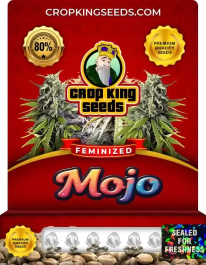 Mojo Strain