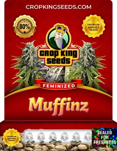Muffinz Strain