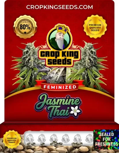 Jasmine Thai Feminized