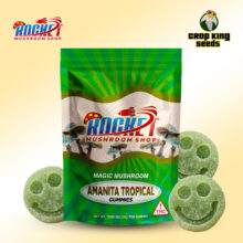 Magic Mushroom Amanita Tropical Gummies