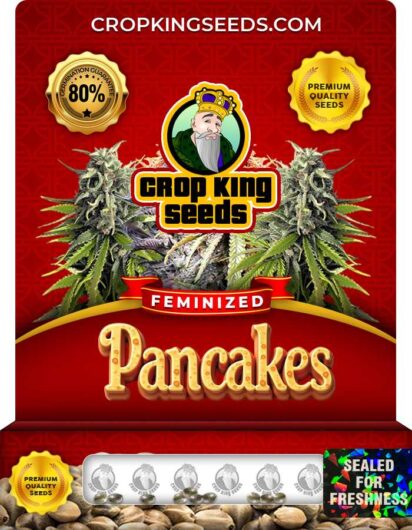 Pancakes Feminized