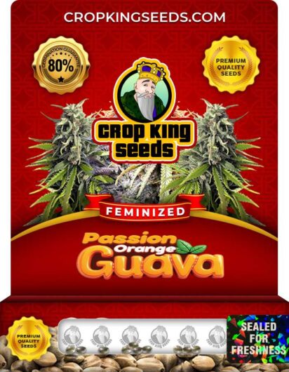 Passion Orange Guava Feminized