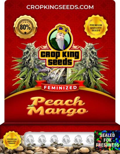 Peach Mango Feminized