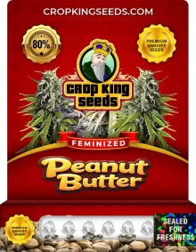 Peanut Butter Feminized
