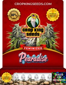 Pearadise Feminized