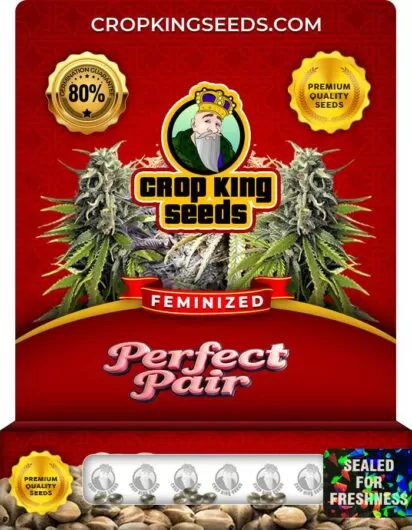 Perfect Pair Feminized