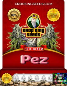 Pez Feminized