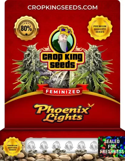 Phoenix Lights Feminized