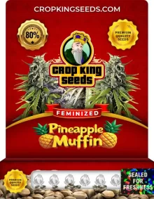Pineapple Muffin Feminized