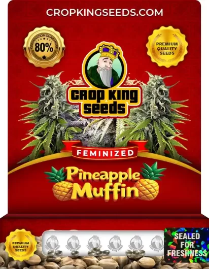 Pineapple Muffin Feminized