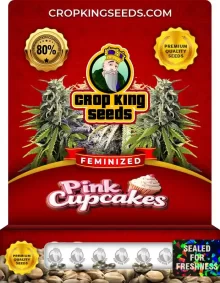 Pink Cupcakes Feminized