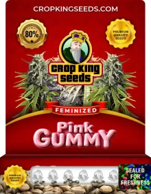 Pink Gummy Feminized