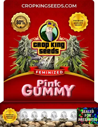 Pink Gummy Feminized