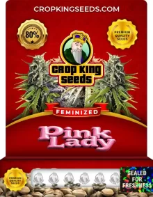 Pink Lady Feminized