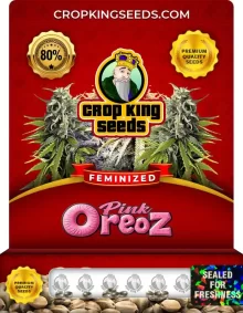 Pink Oreoz Feminized