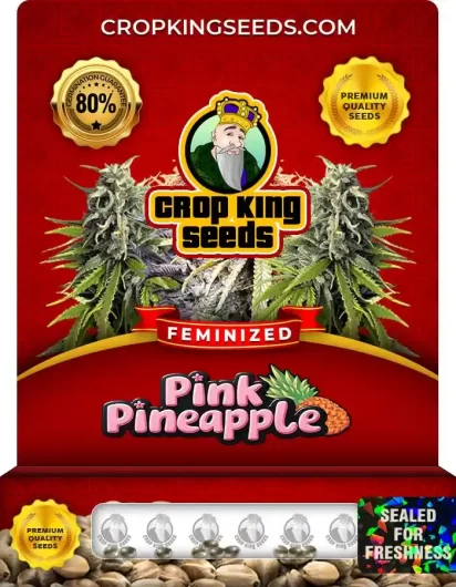 Pink Pineapple Feminized