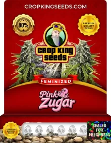 Pink Zugar Feminized