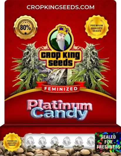 Platinum Candy Feminized