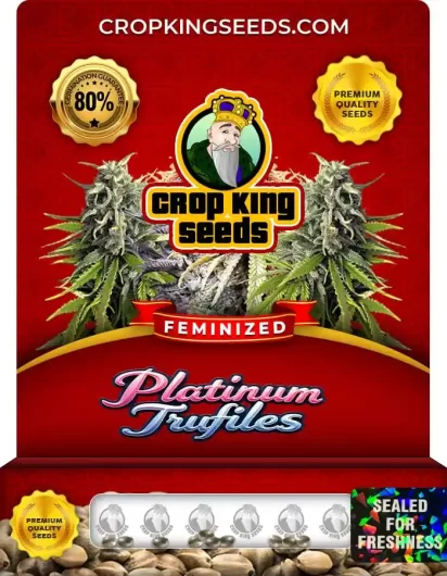 Platinum Trufiles Feminized