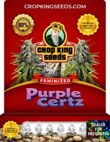 Purple Certz Feminized