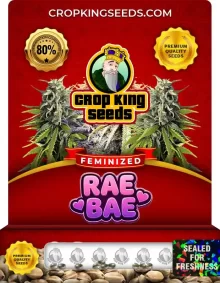 Rae Bae Feminized