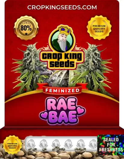 Rae Bae Feminized