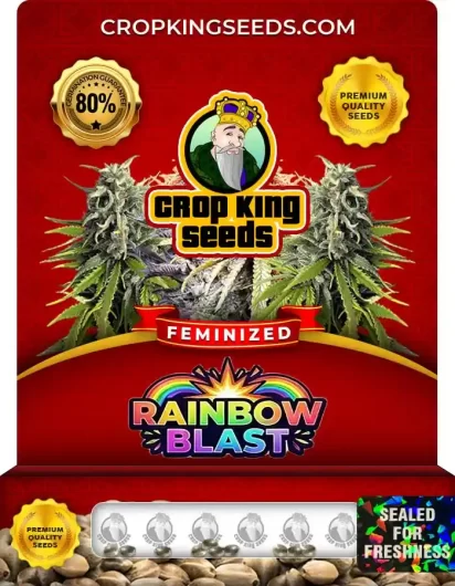 Rainbow Blast Feminized