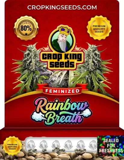 Rainbow Breath Feminized
