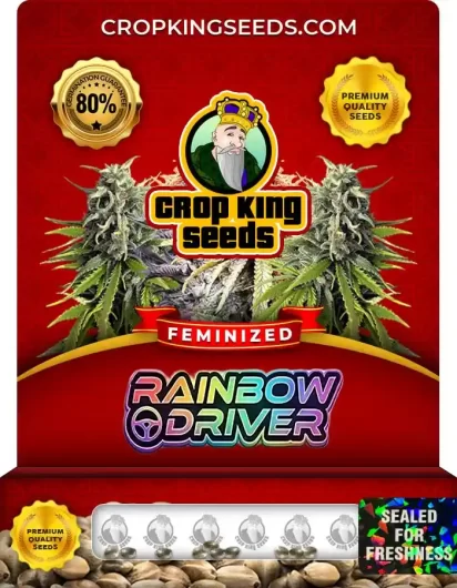 Rainbow Driver Feminized