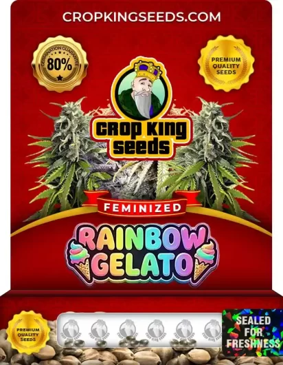 Rainbow Gelato Feminized