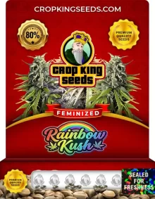 Rainbow Kush Feminized Seeds
