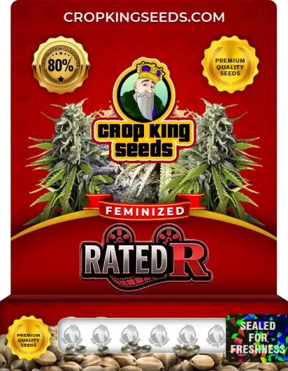 Rated R Feminized
