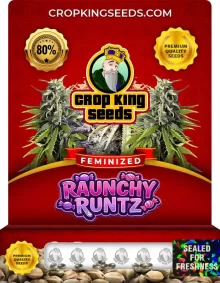 Raunchy Runtz Feminized