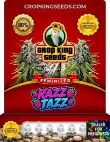 Razz Tazz Feminized